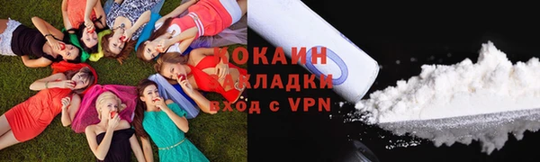 шишки Белоозёрский