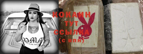 шишки Белоозёрский