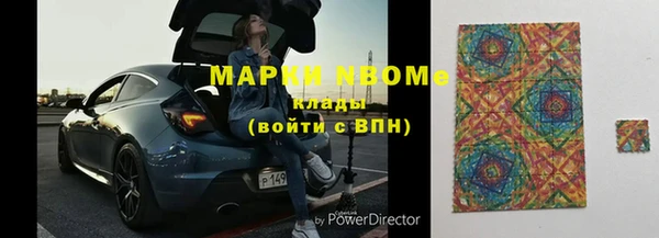 шишки Белоозёрский