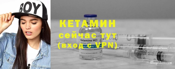 шишки Белоозёрский