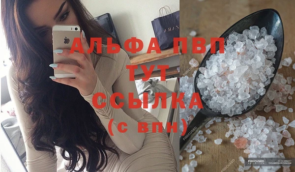 шишки Белоозёрский