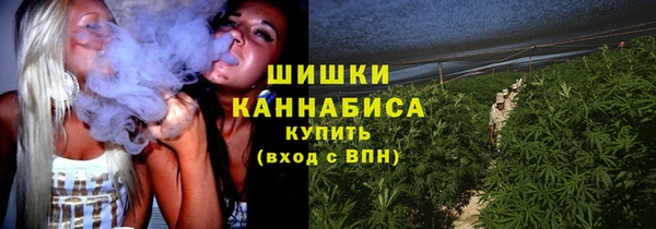 тгк Белокуриха