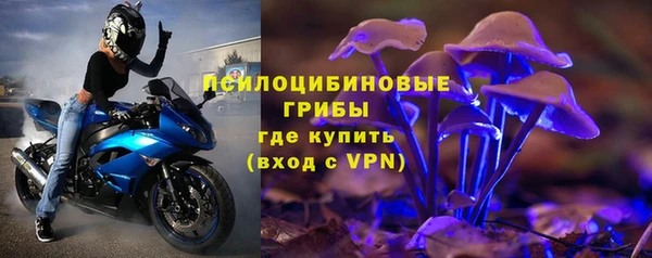 тгк Белокуриха