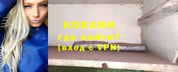 сатива Балахна
