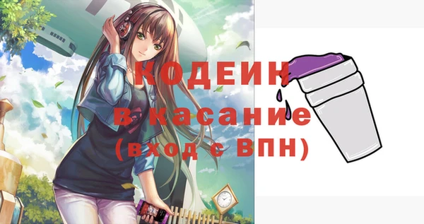 шишки Белоозёрский